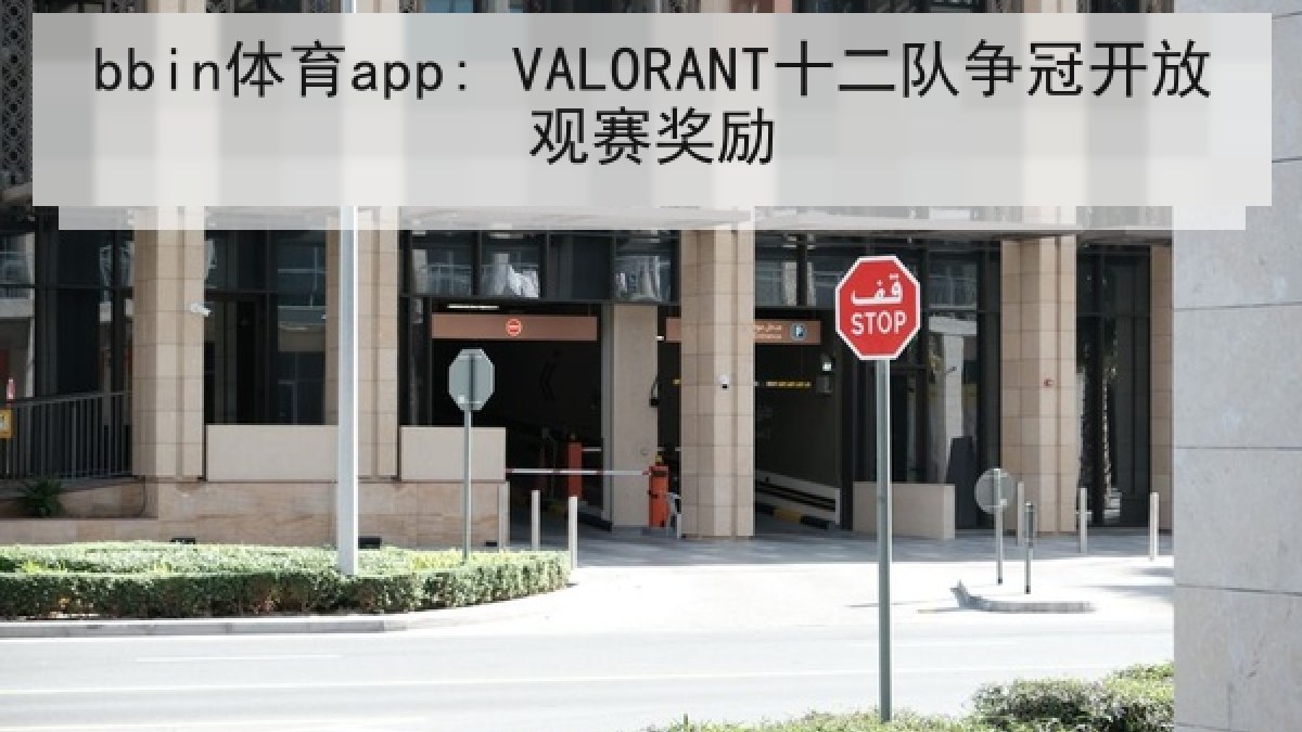 bbin体育app: VALORANT十二队争冠开放观赛奖励