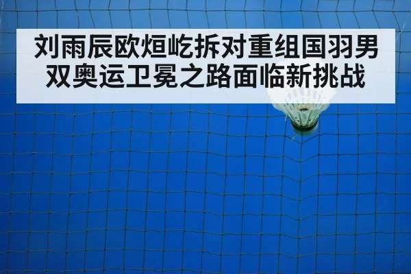 badminton training court