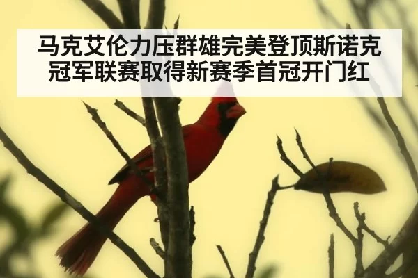 马克艾伦力压群雄完美登顶斯诺克冠军联赛取得新赛季首冠开门红