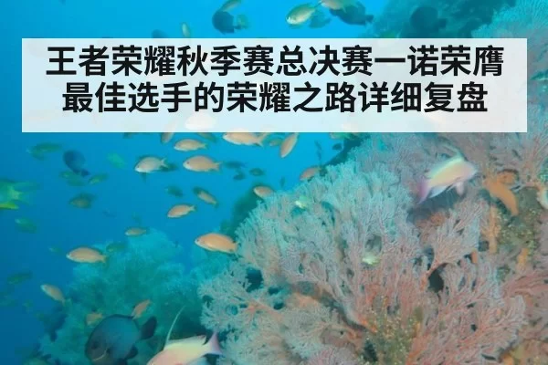 王者荣耀秋季赛总决赛一诺荣膺最佳选手的荣耀之路详细复盘